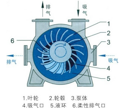 ˮʽձ